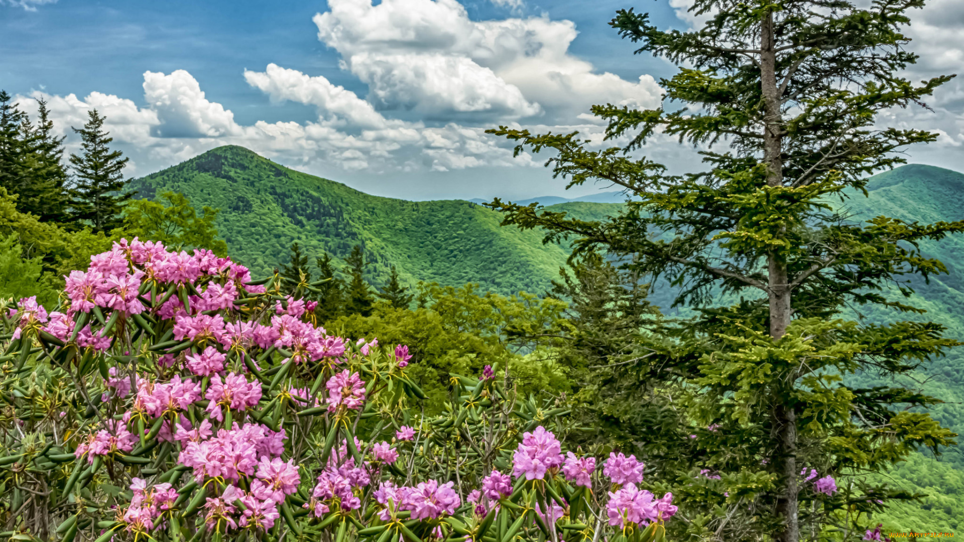 природа, горы, скалы