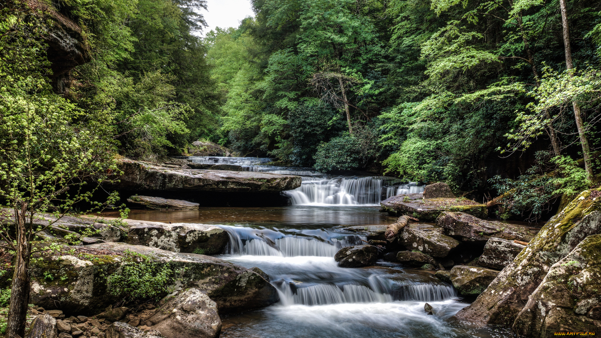 природа, водопады, лес, водопад, река
