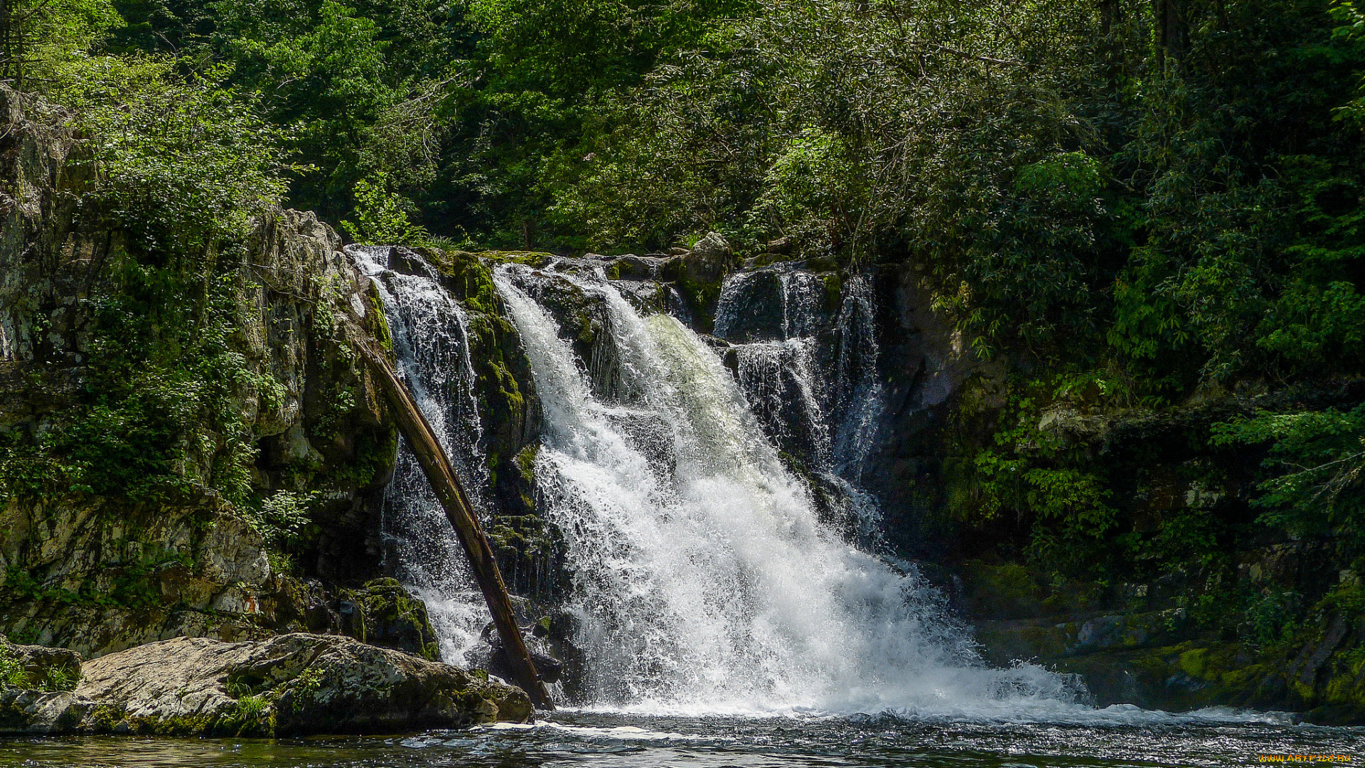природа, водопады, река, водопад, лес