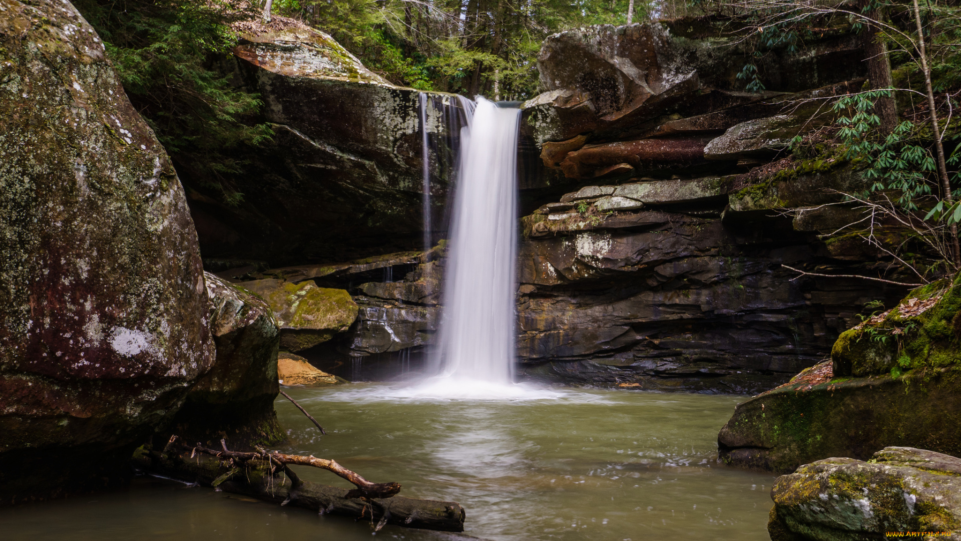 природа, водопады, водопад, река, лес