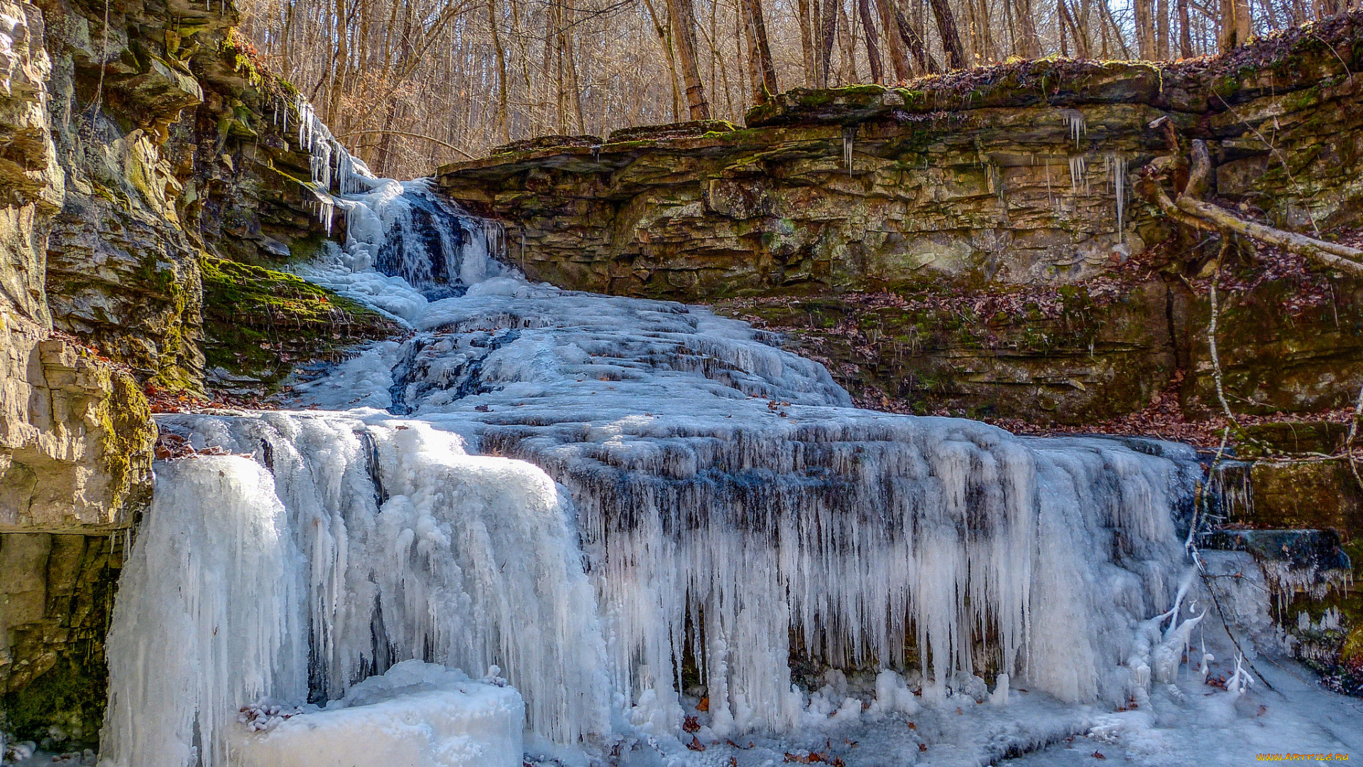 природа, водопады, водопад, река, лес