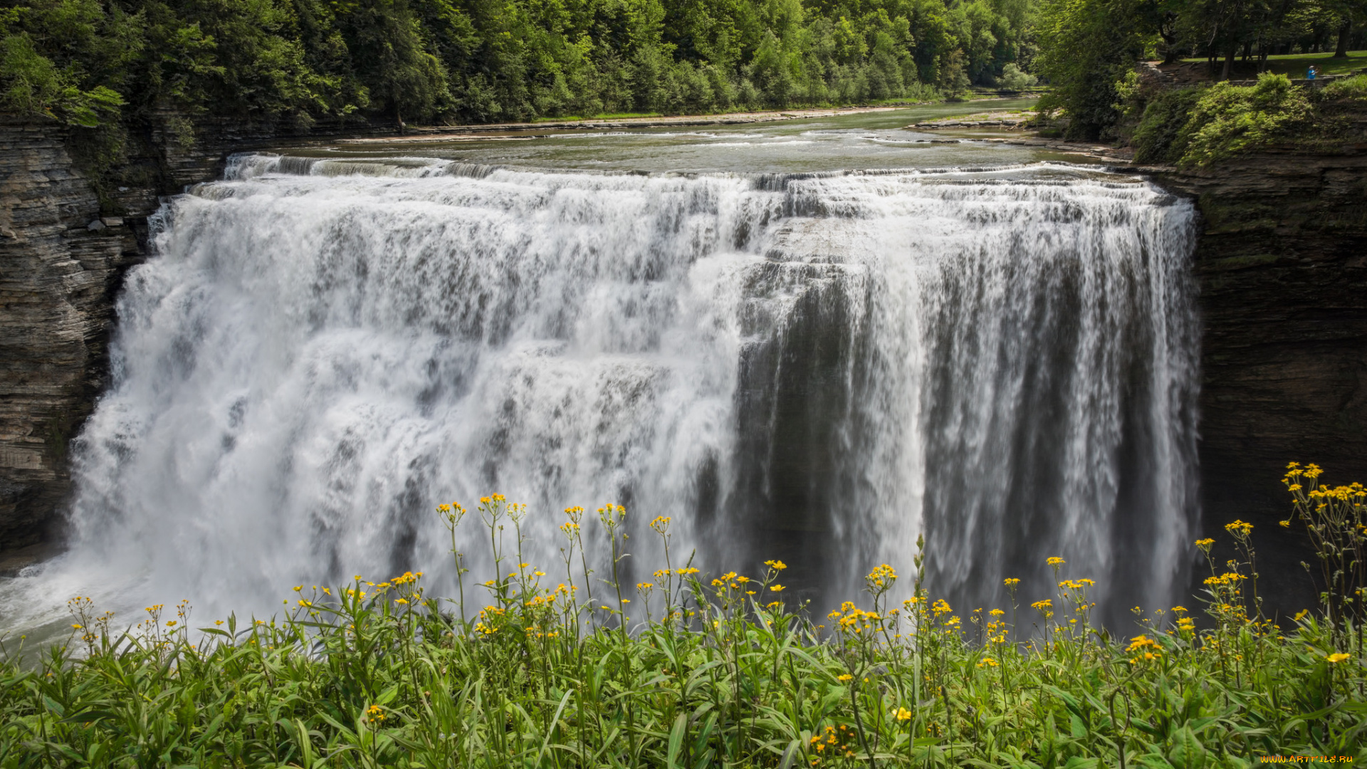 природа, водопады, водопад, река, лес