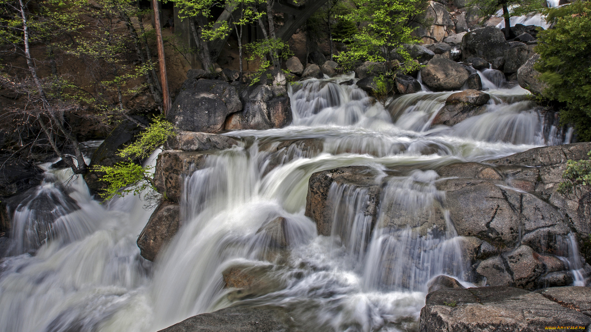 природа, водопады, водопад, река, лес
