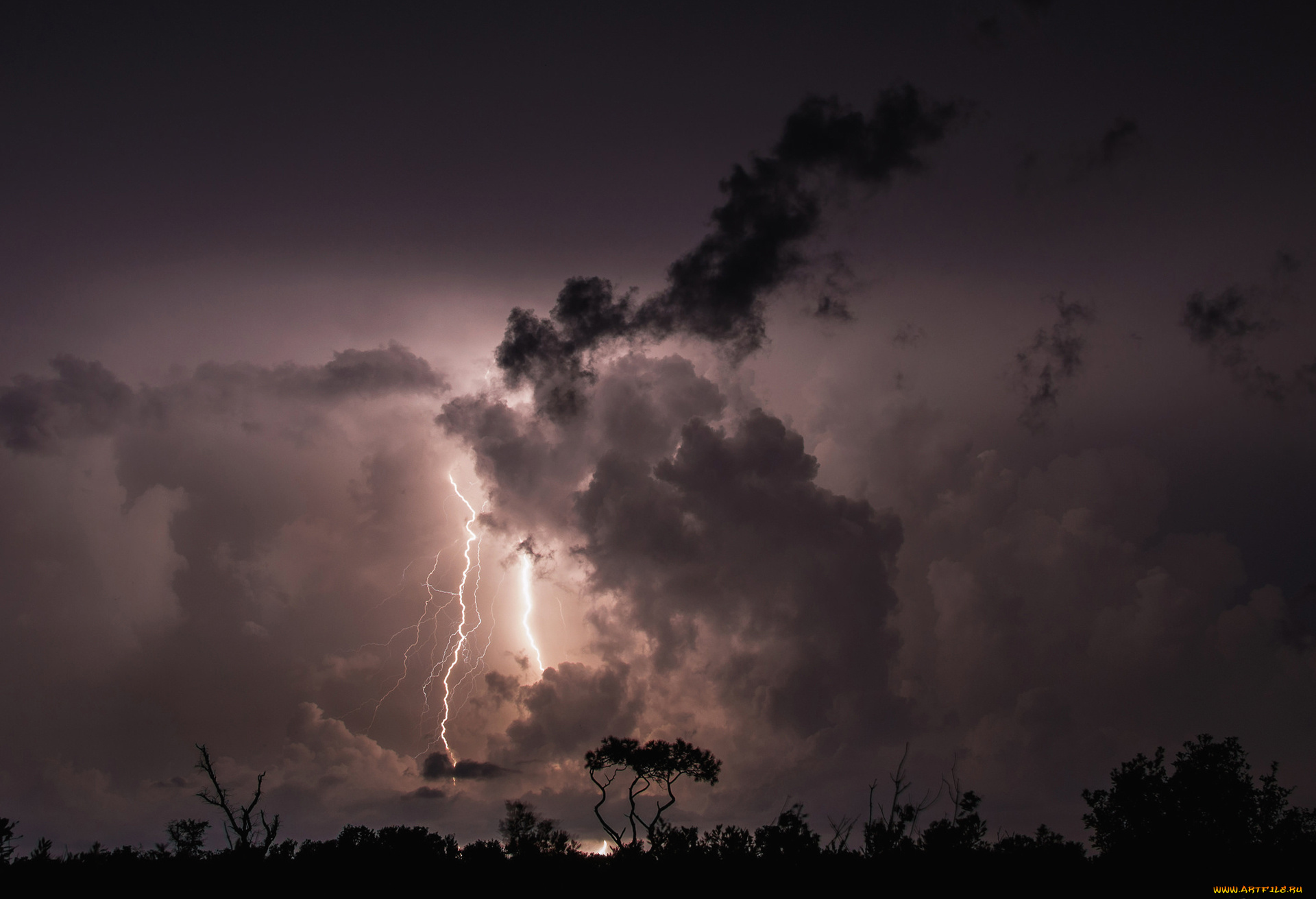 природа, молния, , гроза, силуэт, деревья, гроза, облака, тучи, ночь
