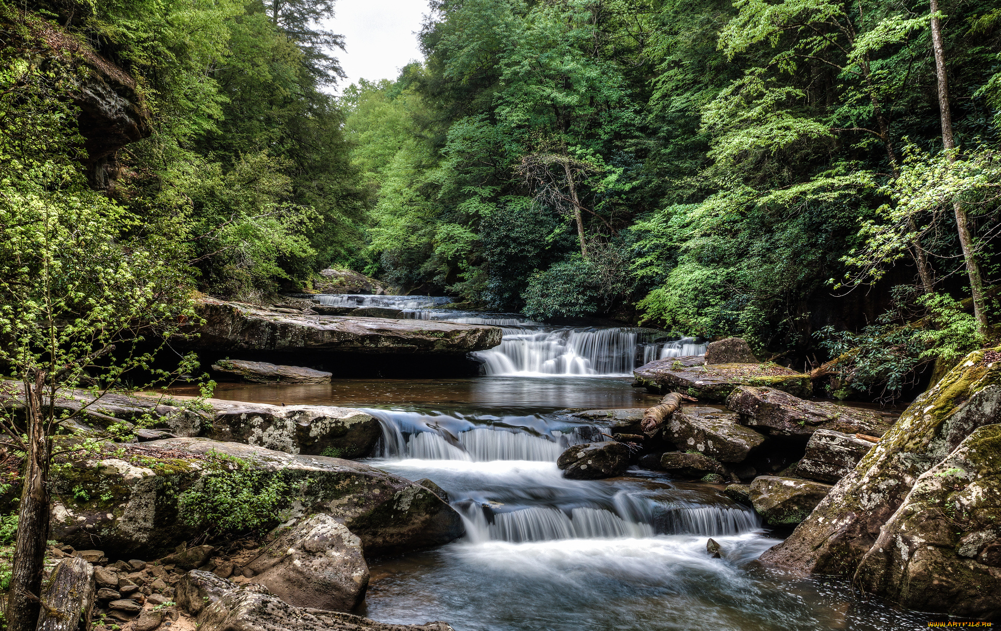 природа, водопады, лес, водопад, река