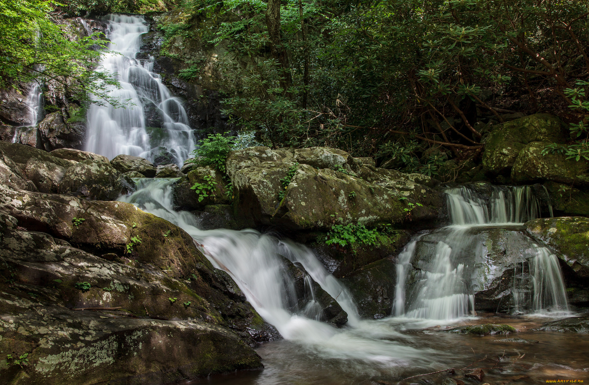 природа, водопады, водопад, река, лес