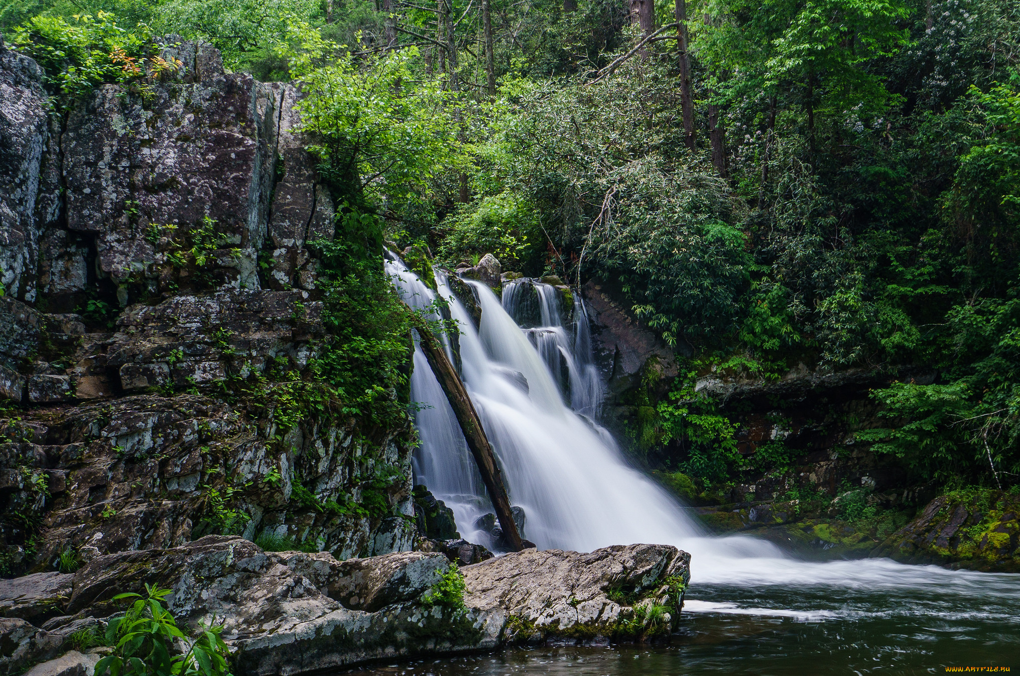природа, водопады, лес, водопад, река