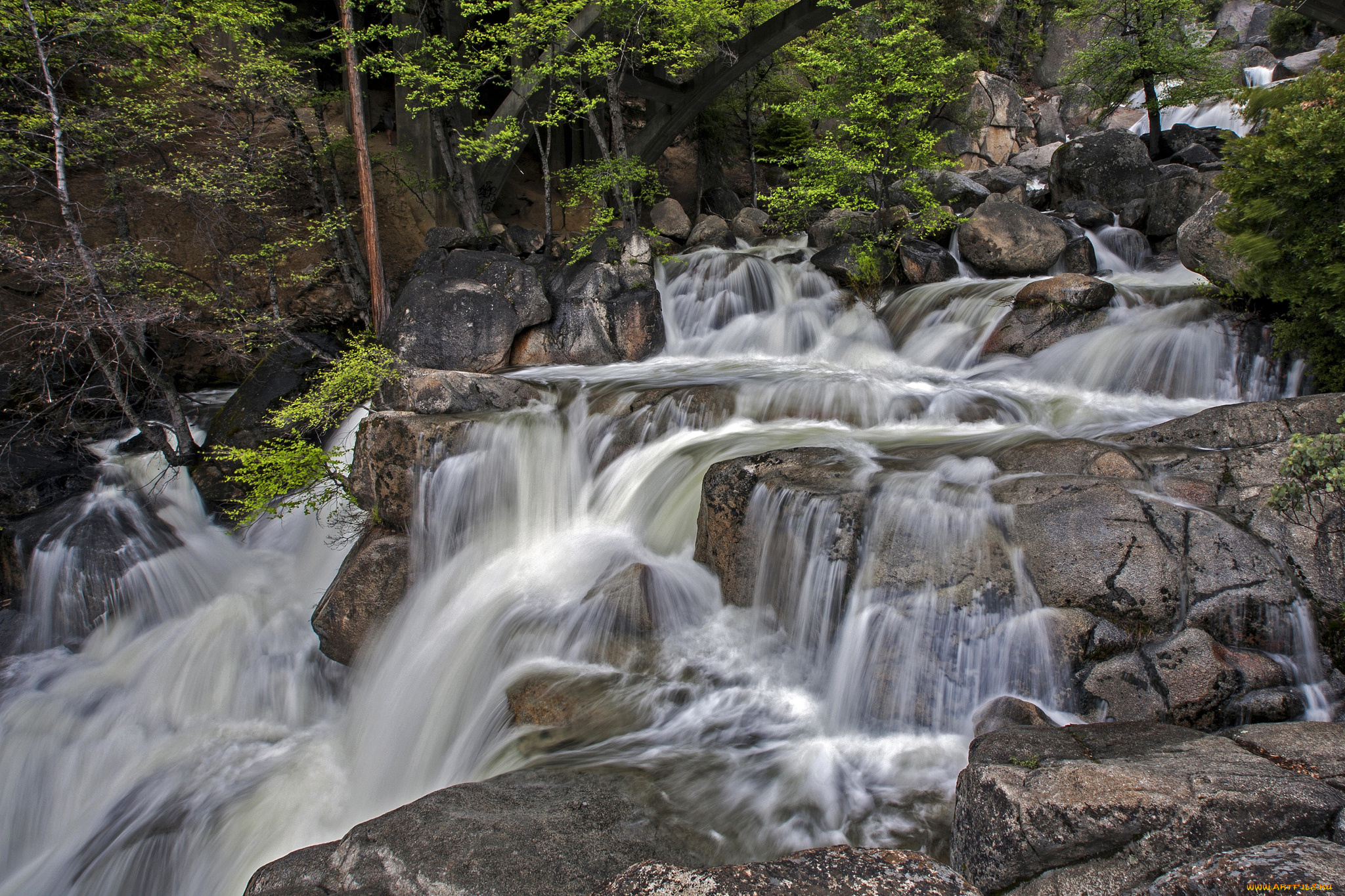 природа, водопады, водопад, река, лес