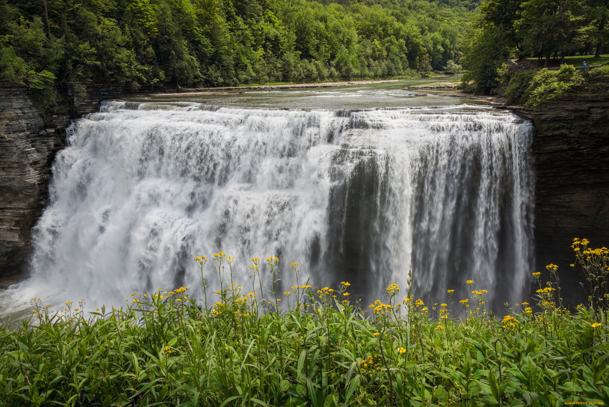 природа, водопады, водопад, река, лес
