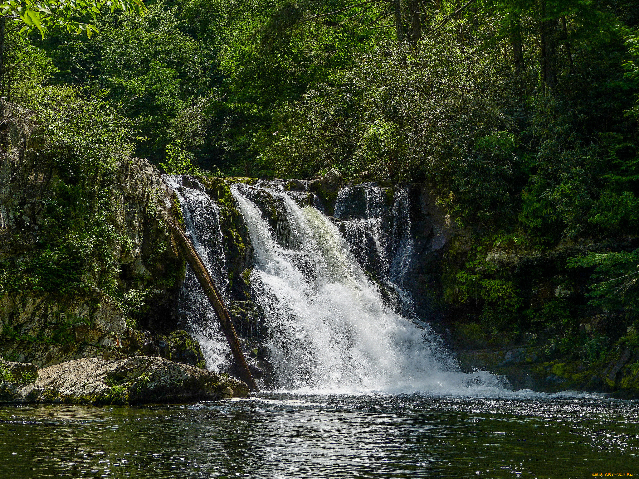 природа, водопады, река, водопад, лес