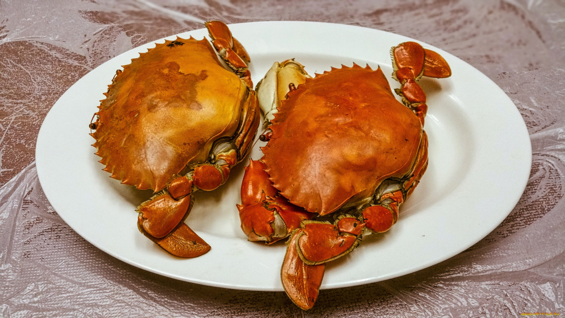 еда, рыба, , морепродукты, , суши, , роллы, деликатесы