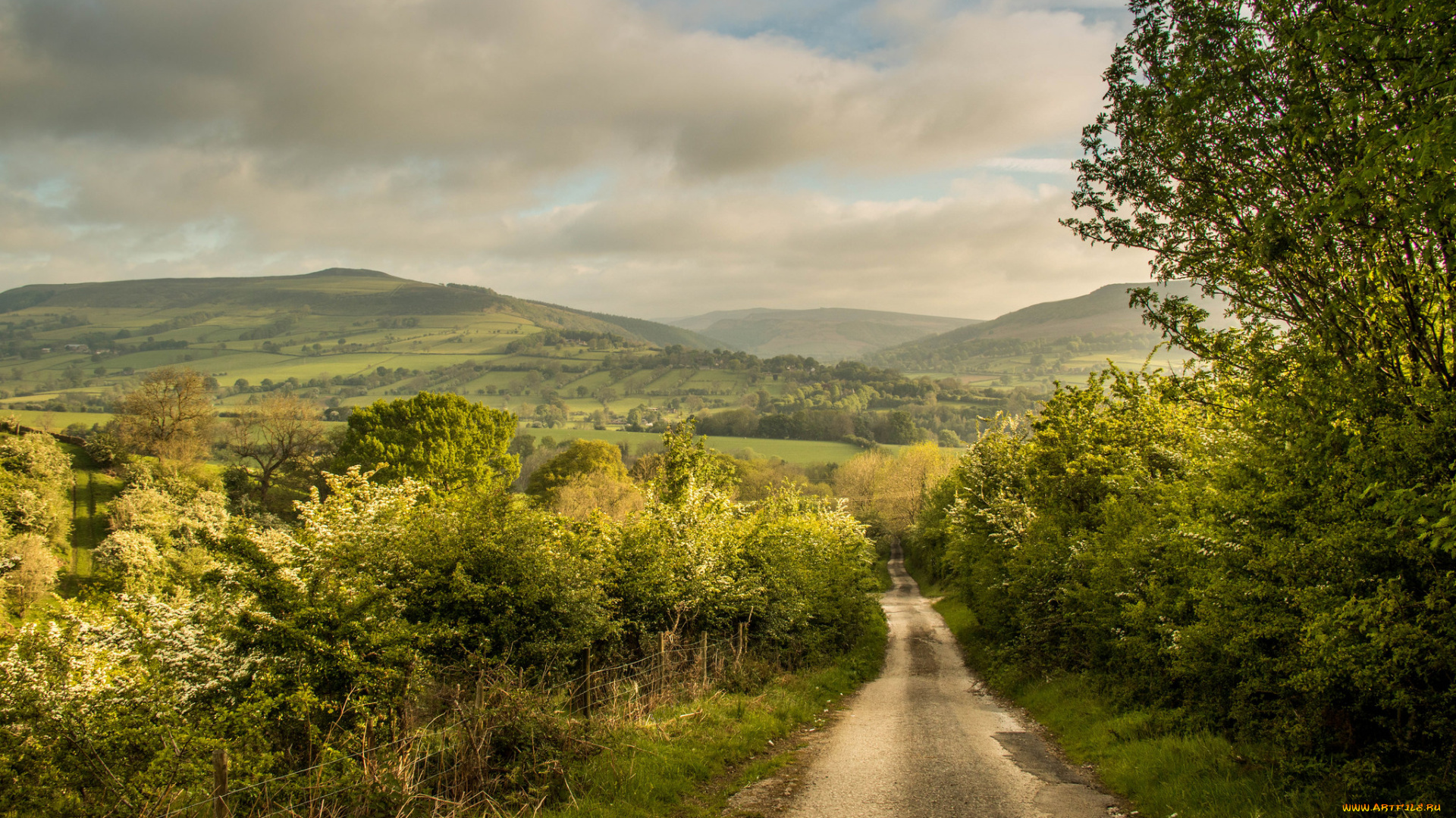 природа, дороги, тракт