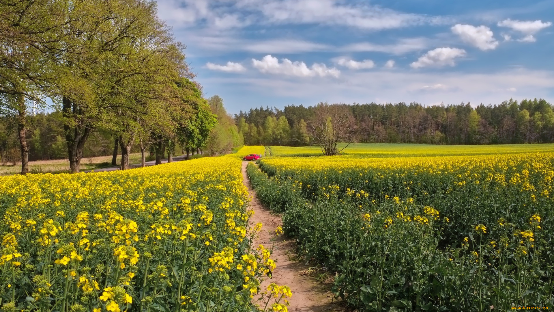 природа, дороги, тракт