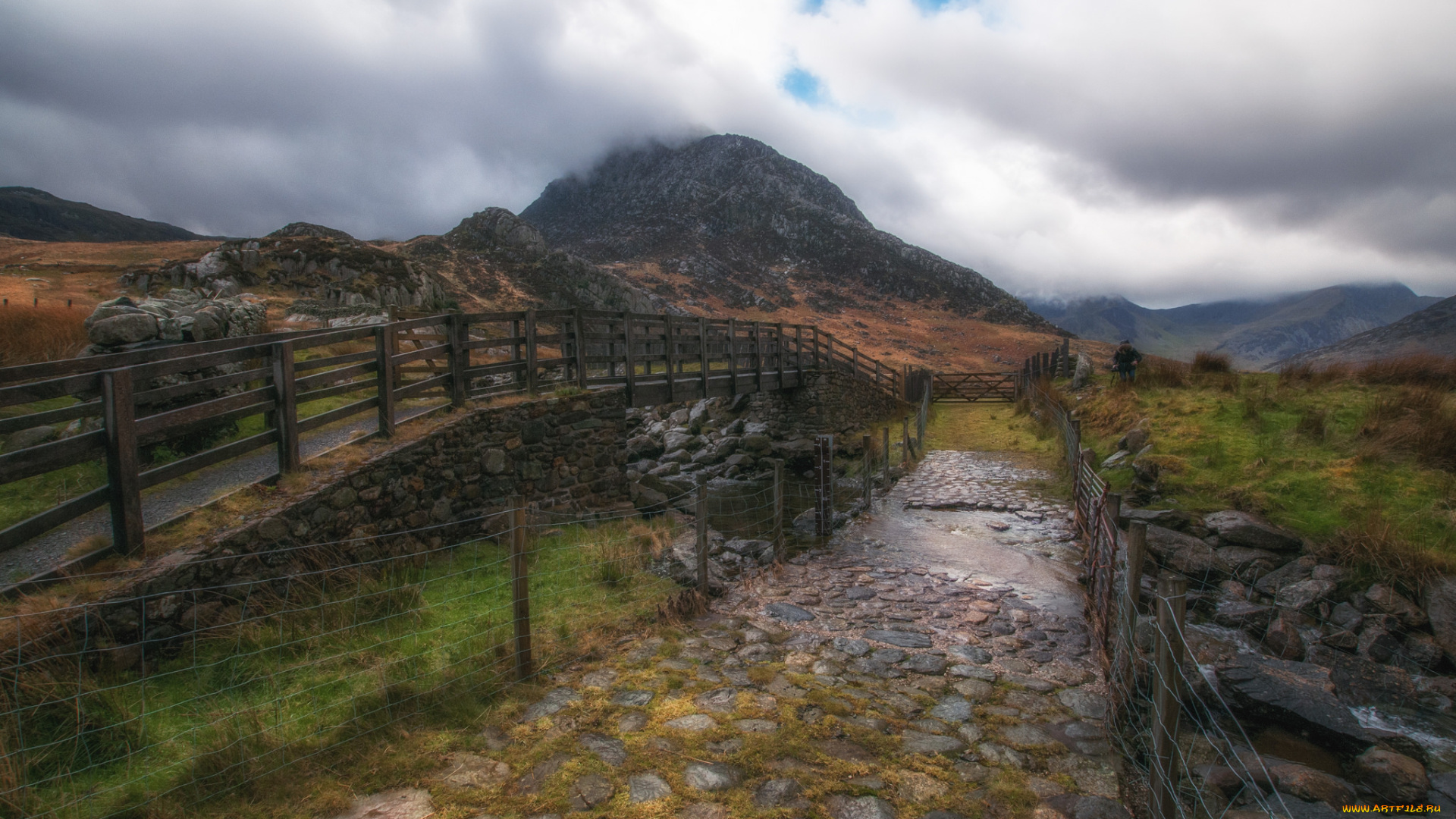 природа, дороги, тракт