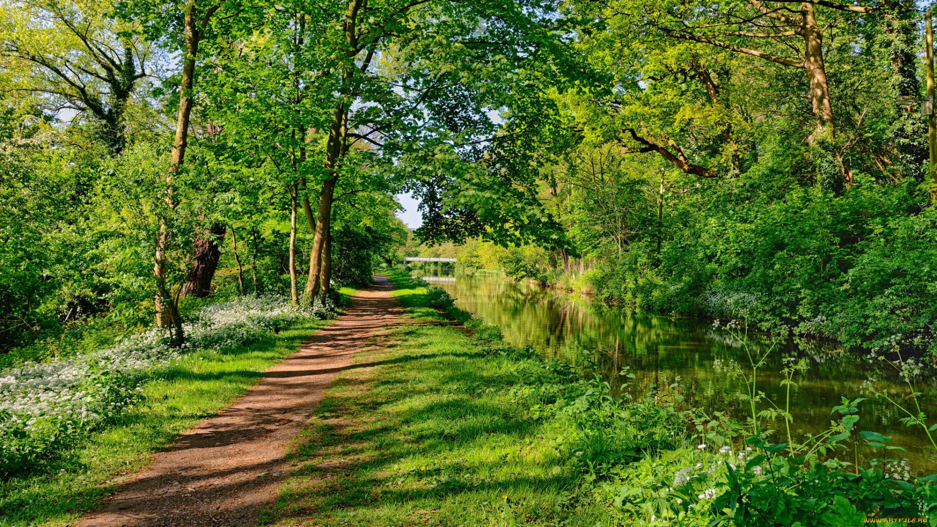 природа, дороги, тракт