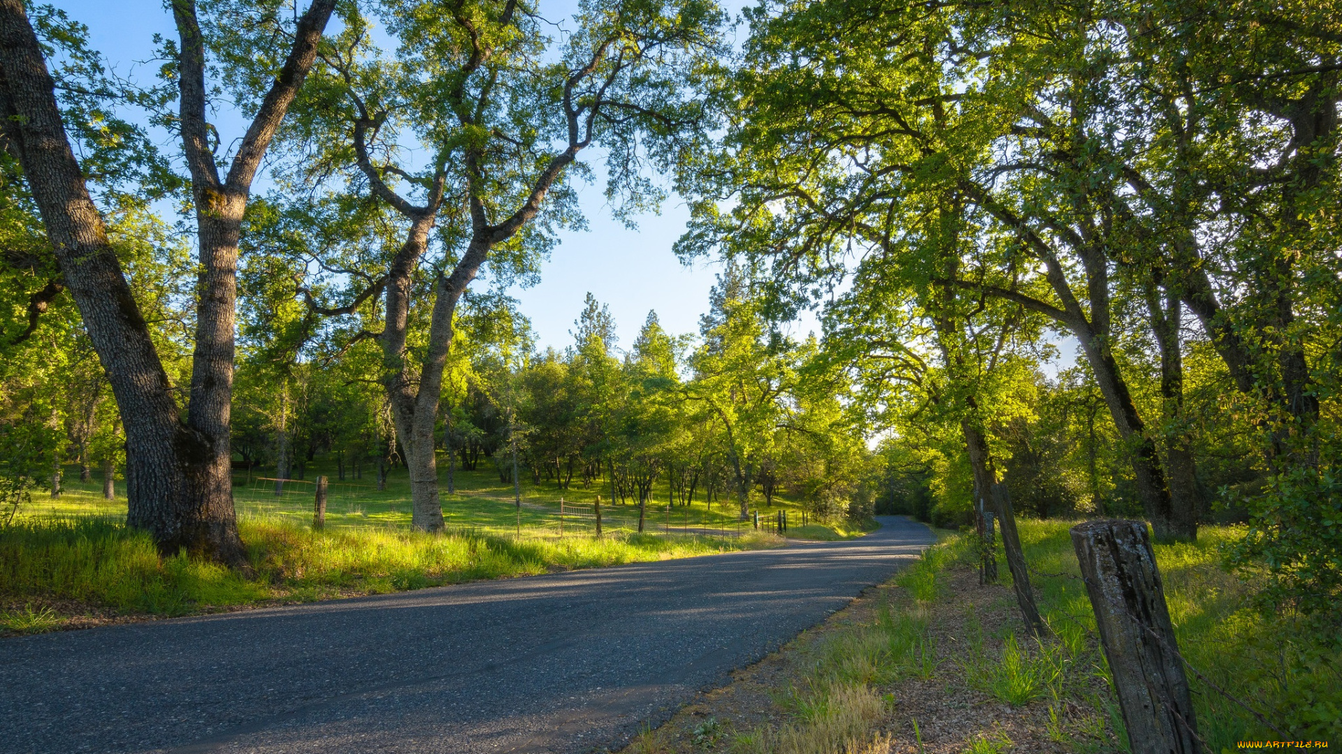природа, дороги, тракт