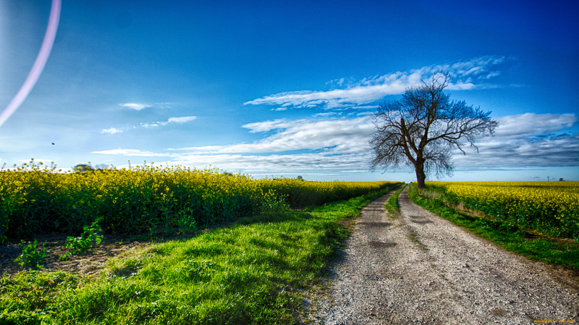 природа, дороги, тракт