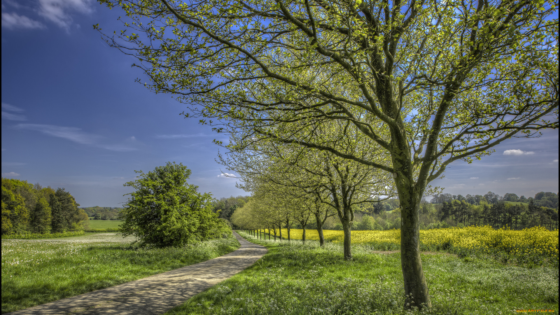 природа, дороги, тракт