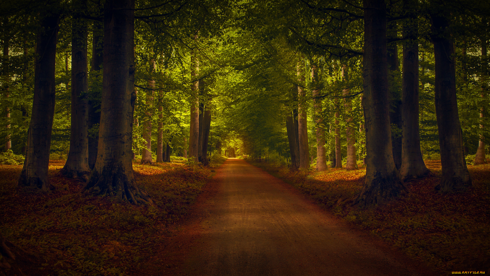 природа, дороги, тракт