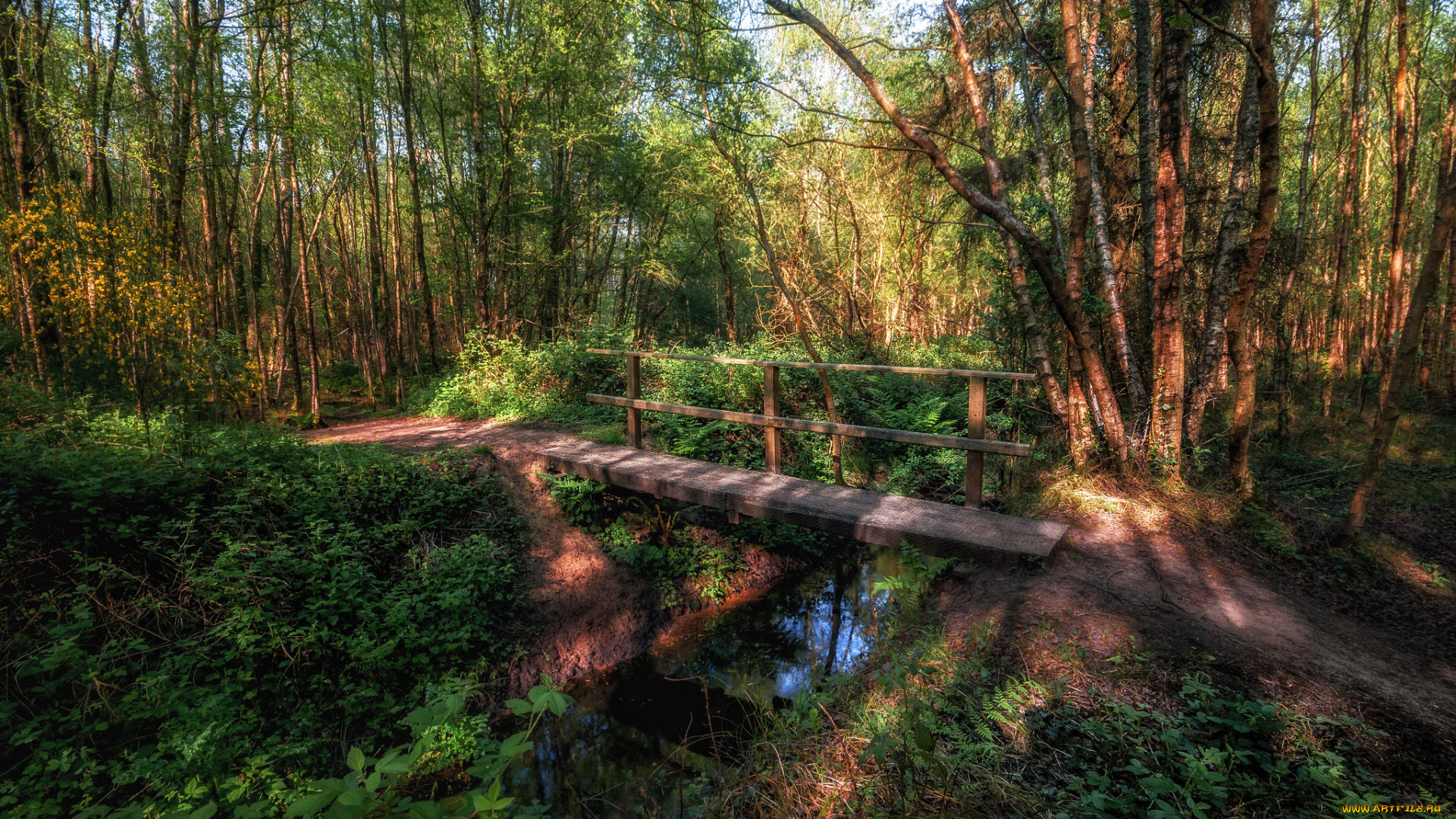 природа, дороги, тракт