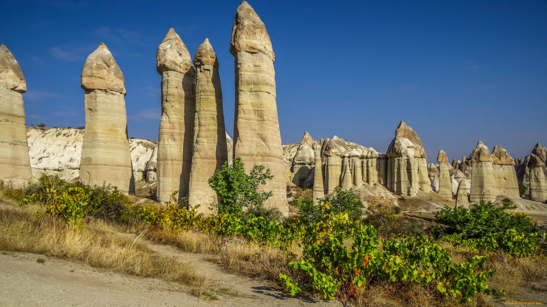 природа, горы, простор