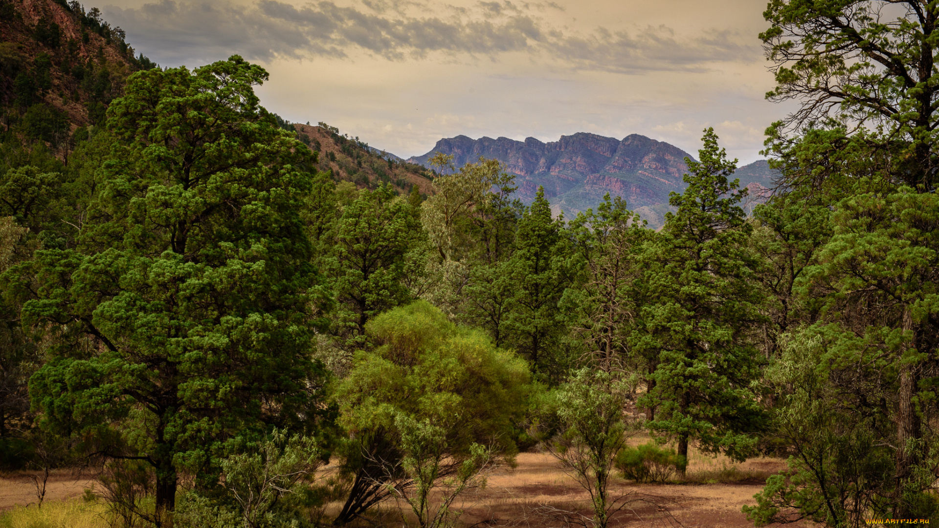 природа, горы, простор