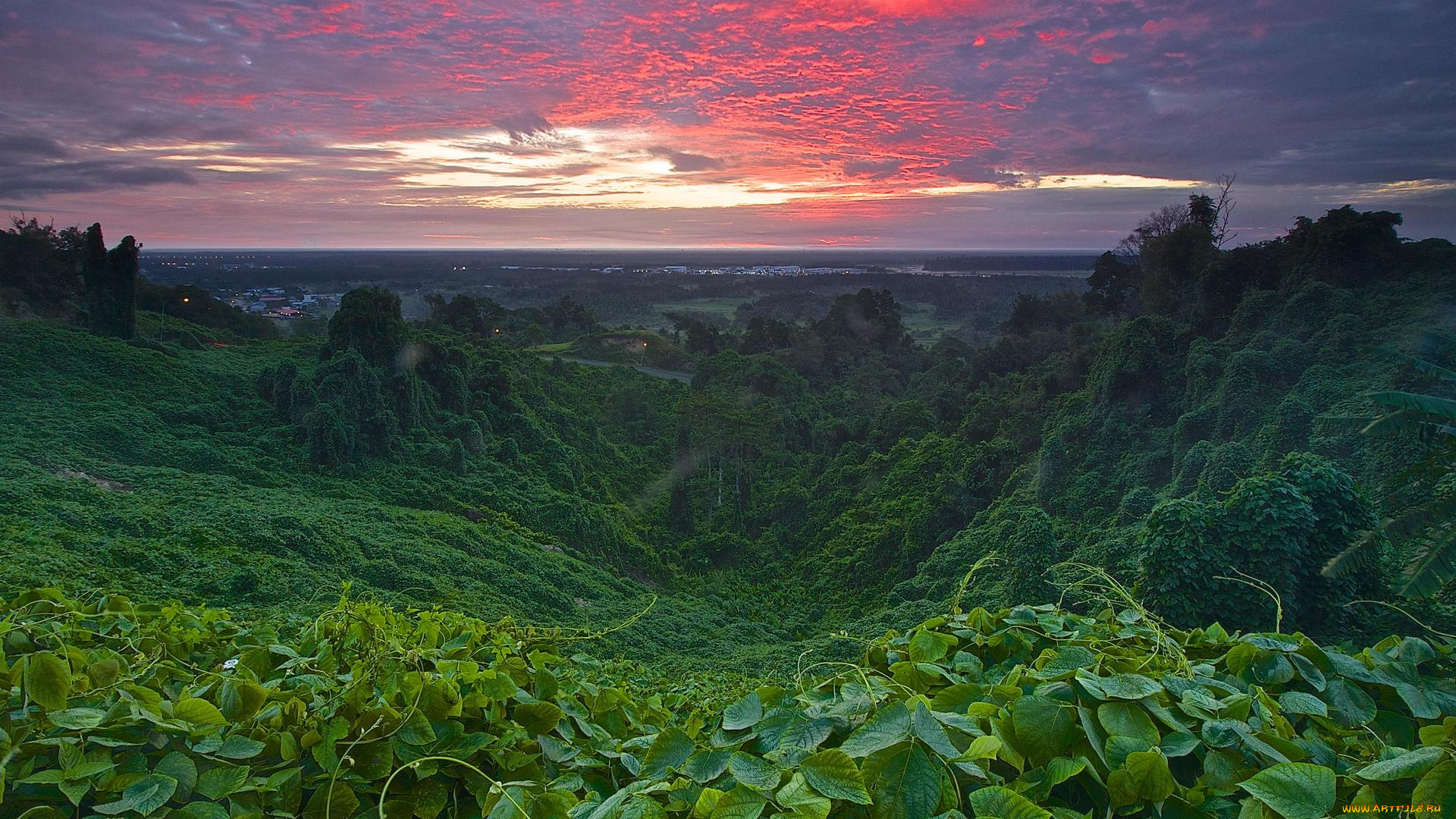 природа, побережье, малайзия, мири, саравак, восход, закат