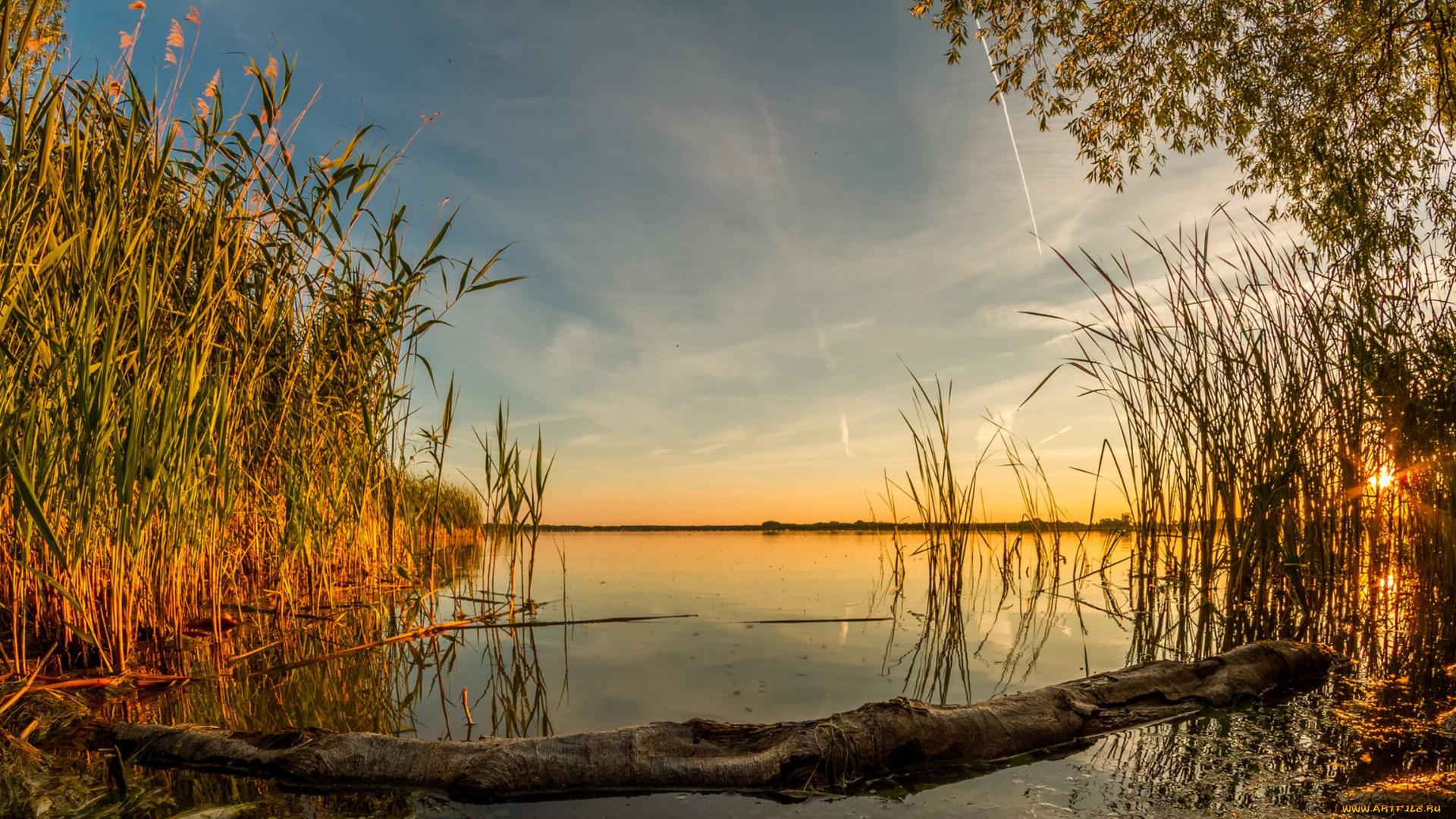 природа, реки, озера, лес, река