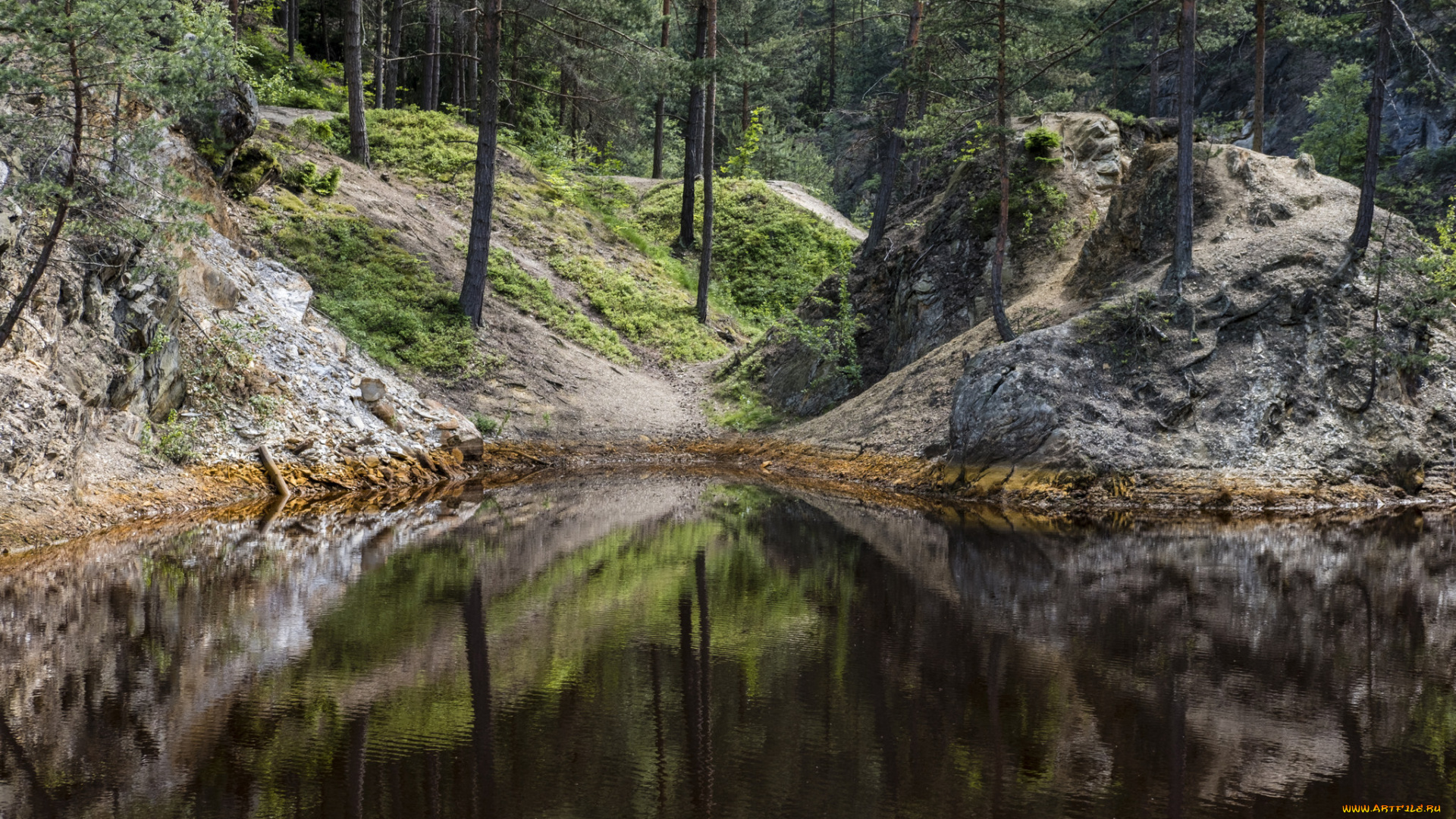 природа, реки, озера, лес, река