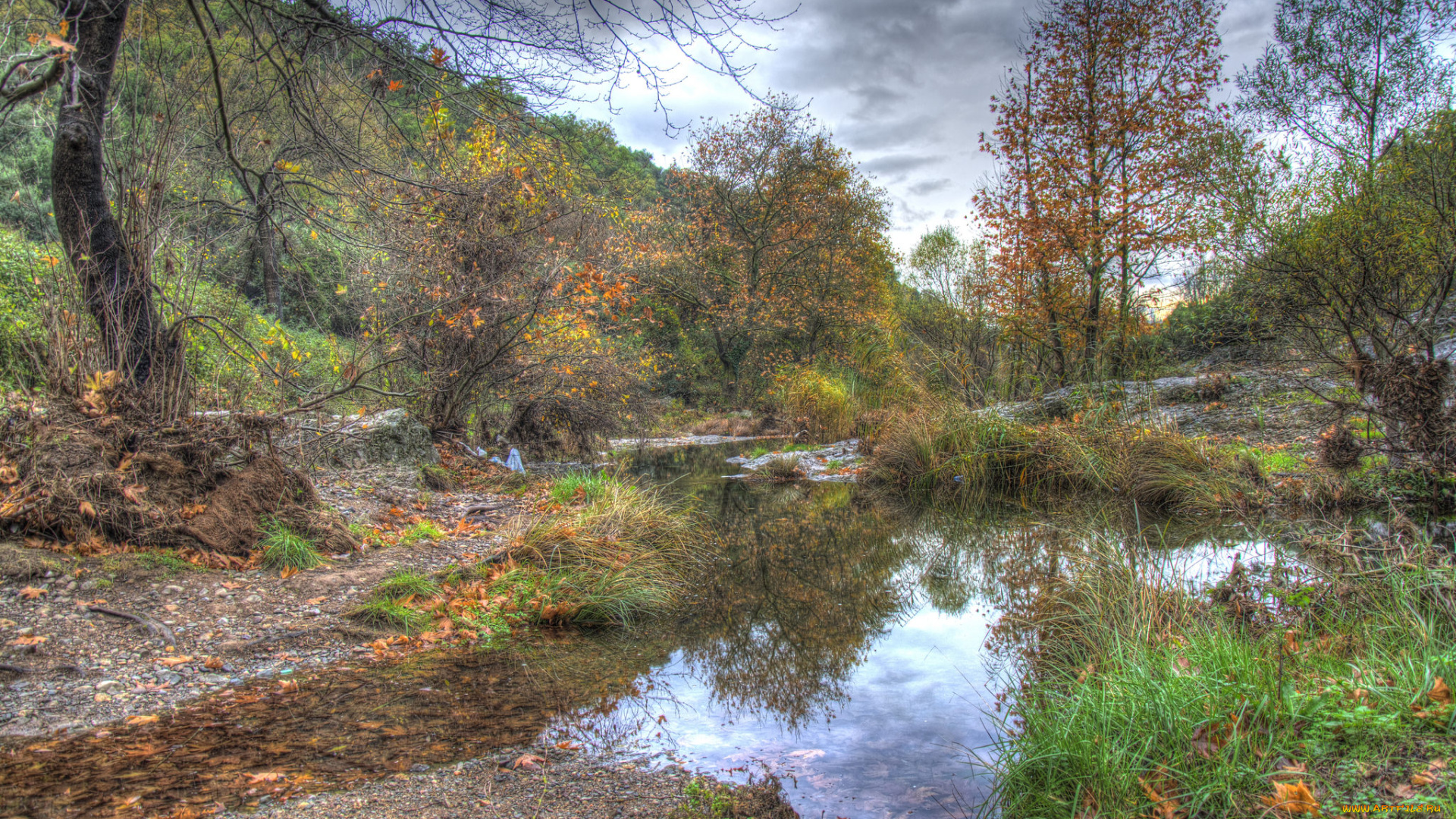 природа, реки, озера, лес, река
