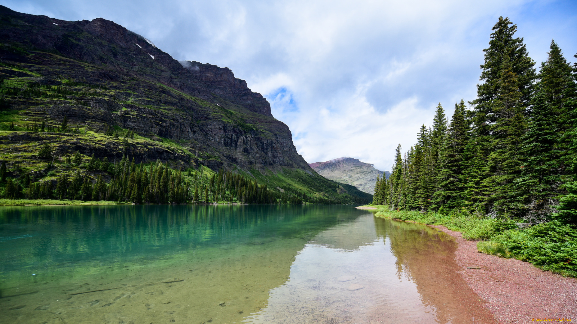 природа, реки, озера, река, лес