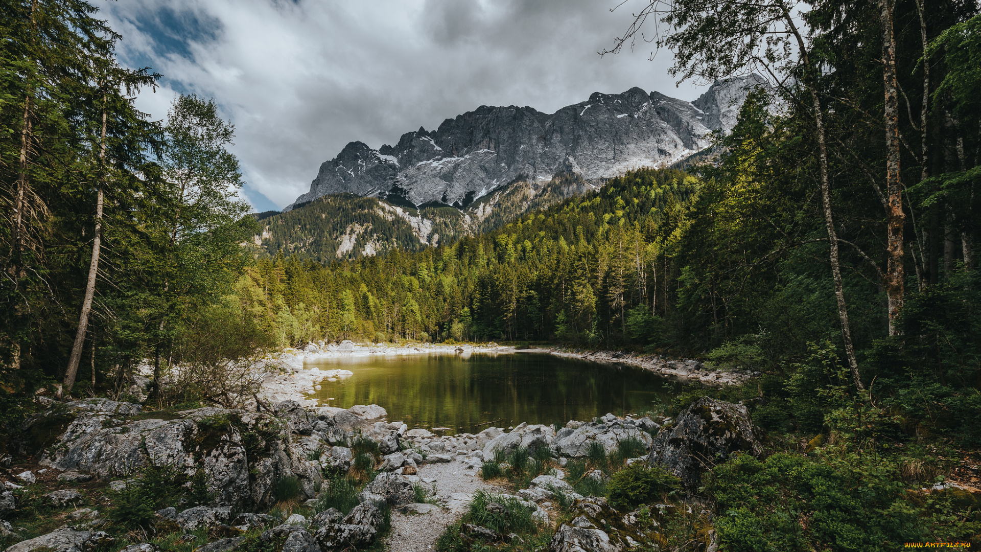 природа, реки, озера, река, лес