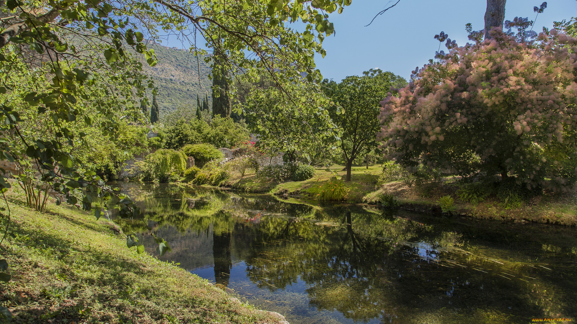 природа, реки, озера, река, лес