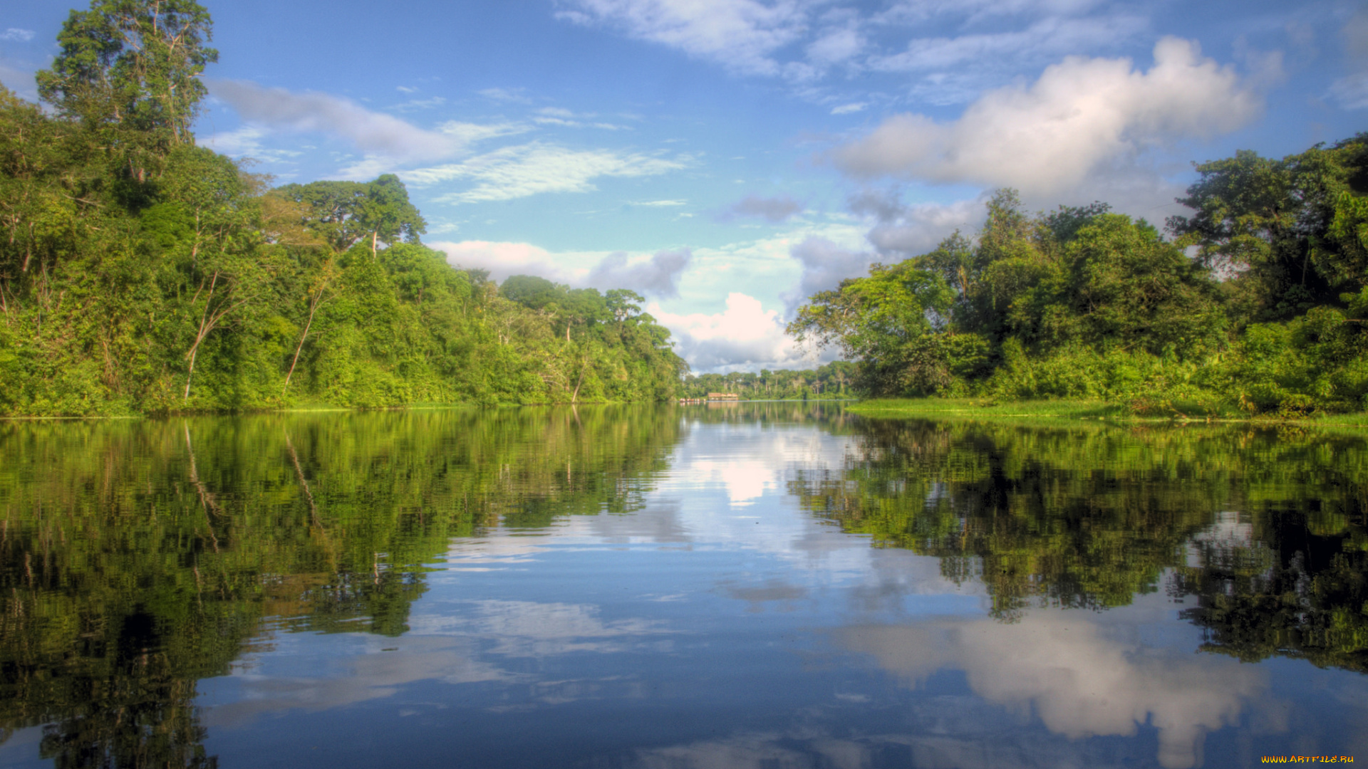 природа, реки, озера, река, лес