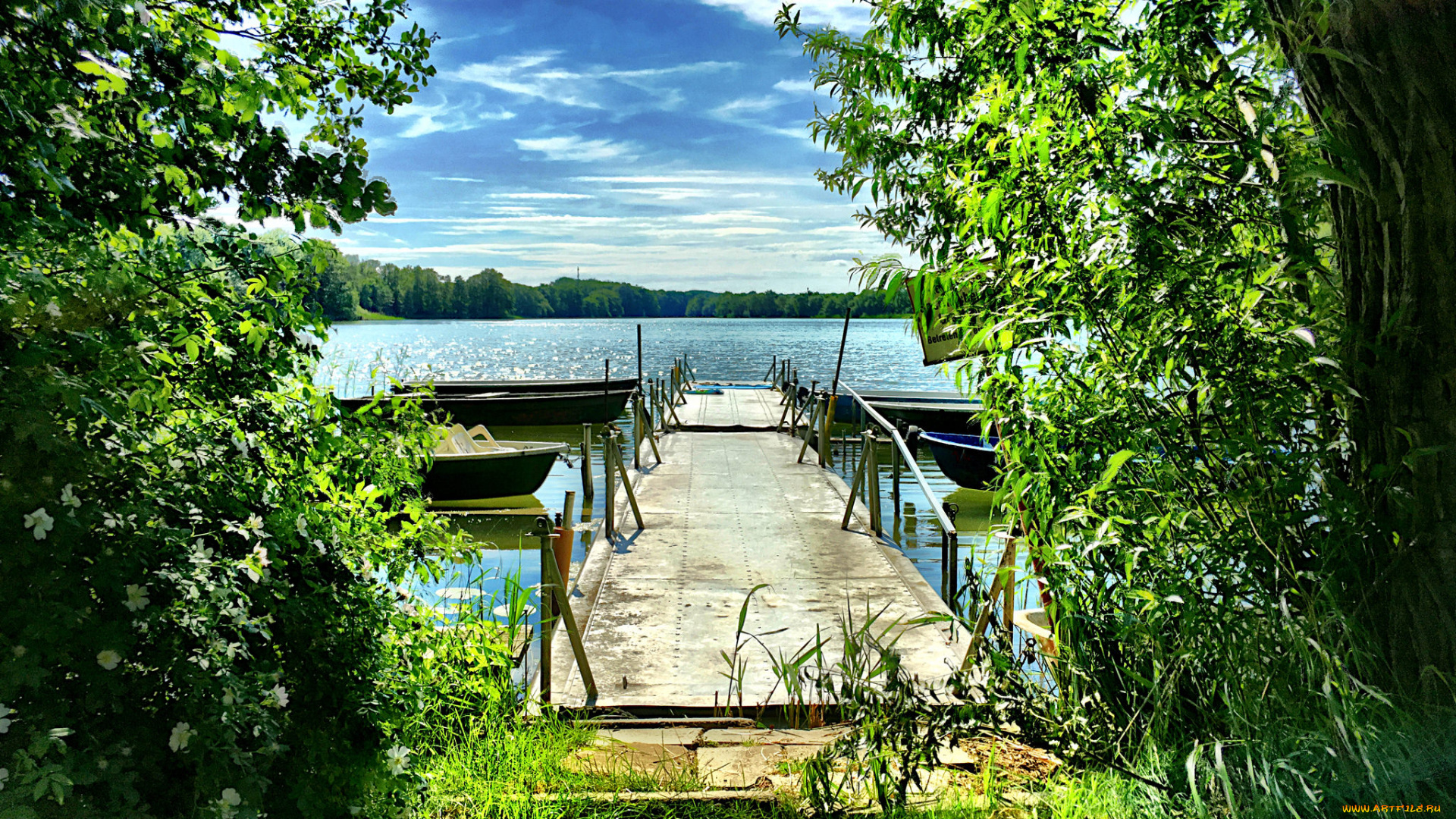 природа, реки, озера, река, лес