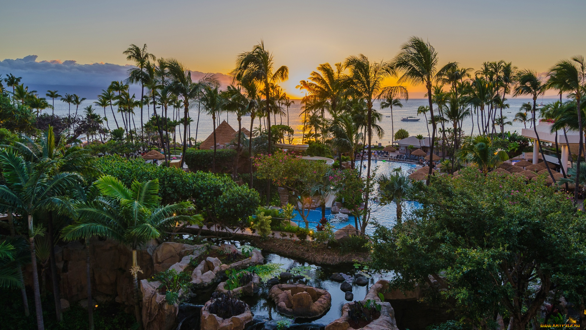 природа, тропики, курорт