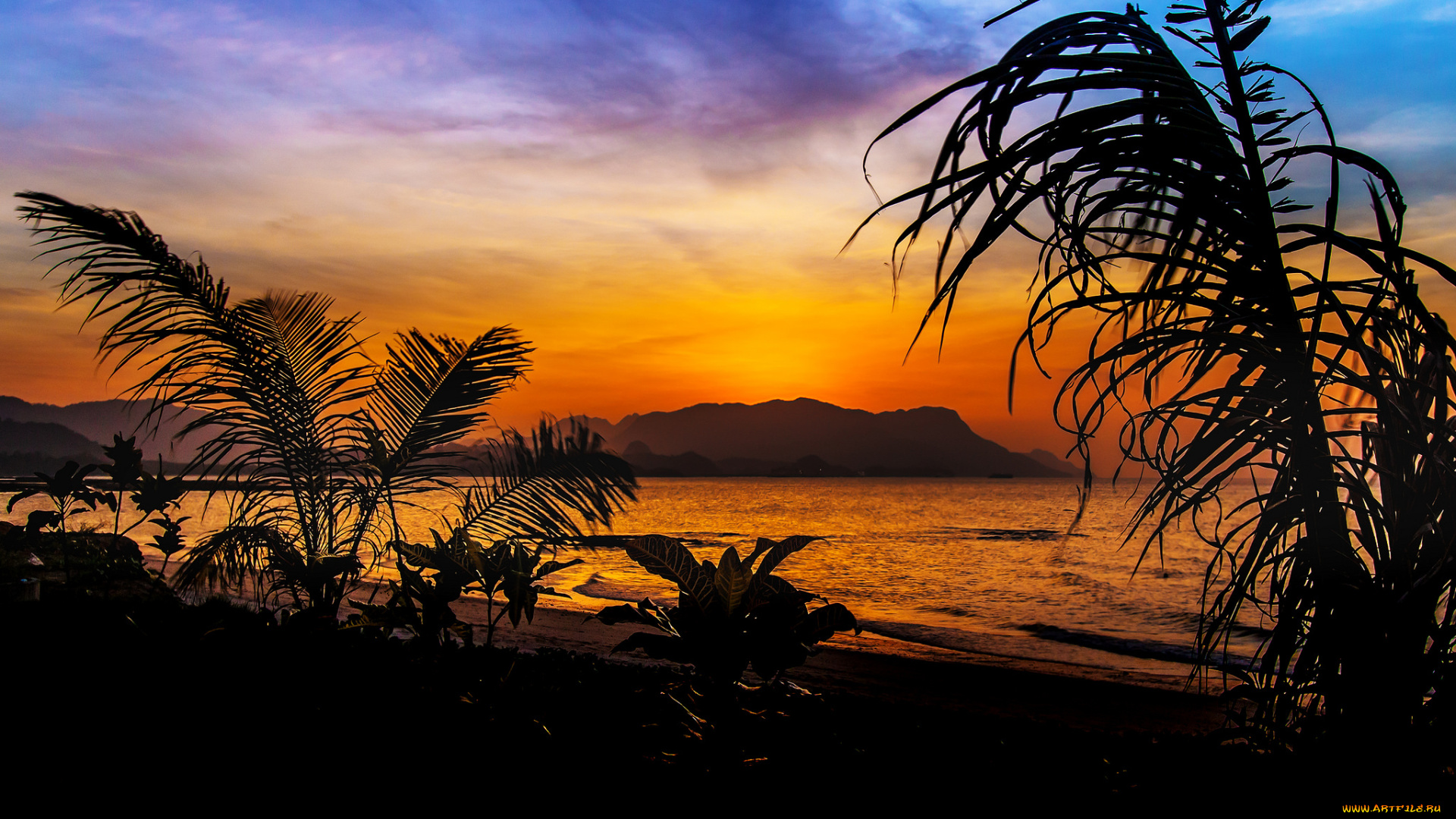 природа, тропики, курорт