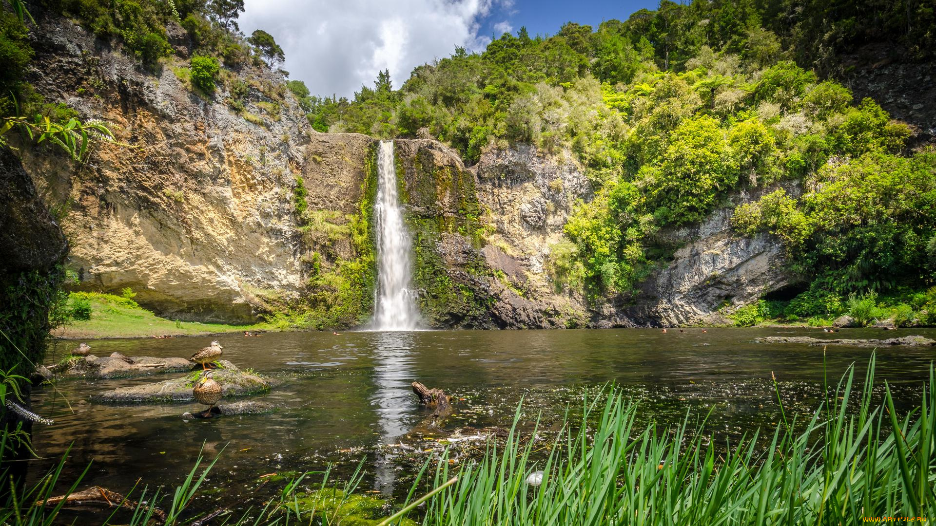 природа, водопады, лес, скала, поток