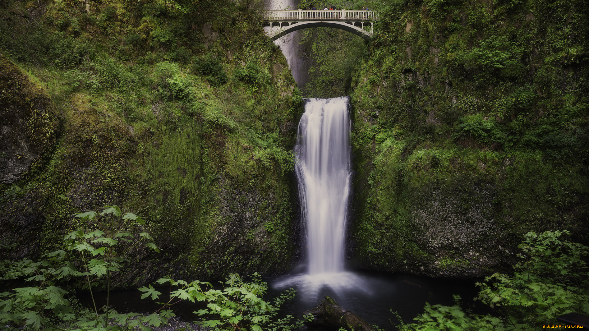 природа, водопады, лес, водопад, река