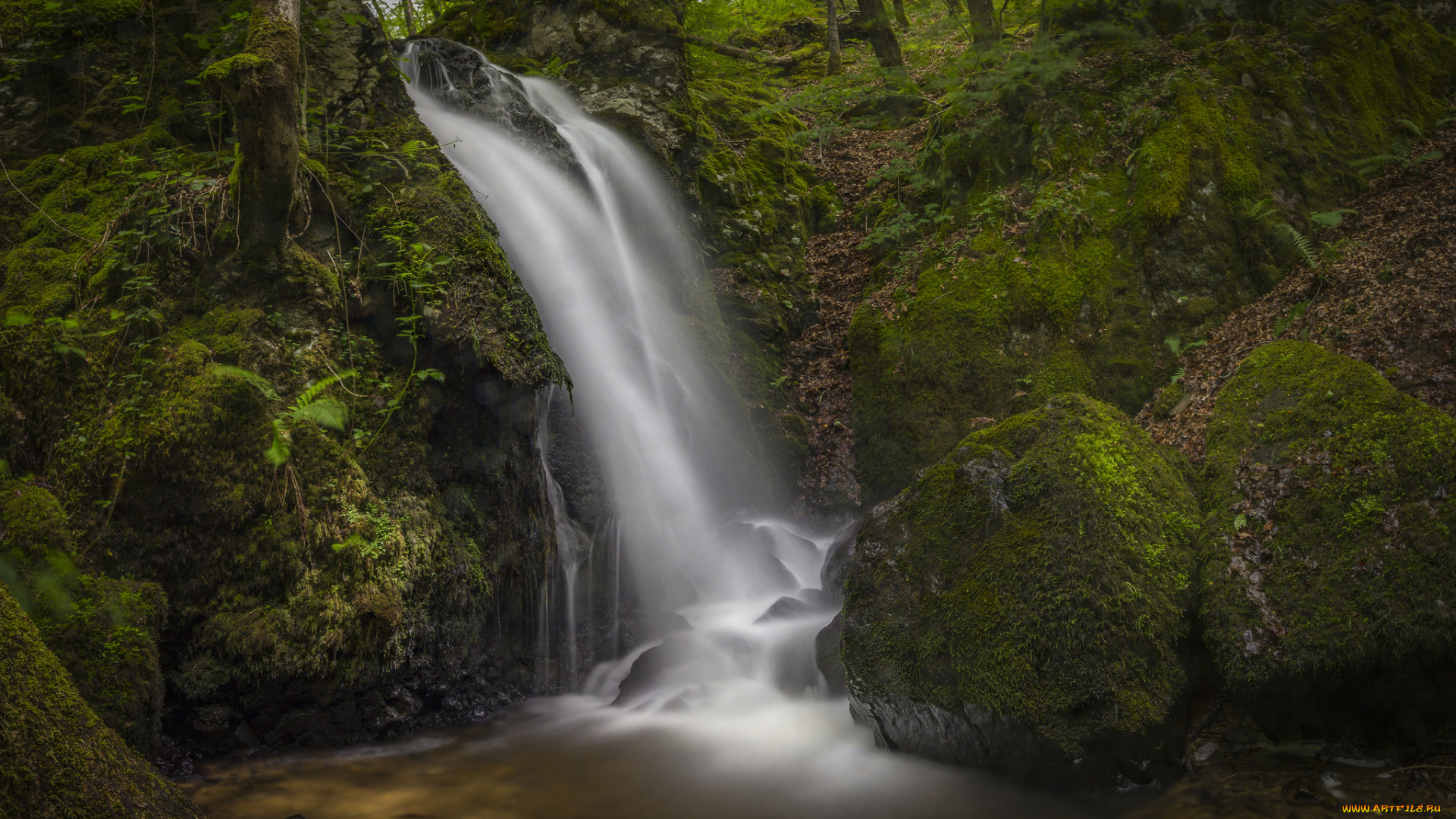 природа, водопады, река, водопад, лес