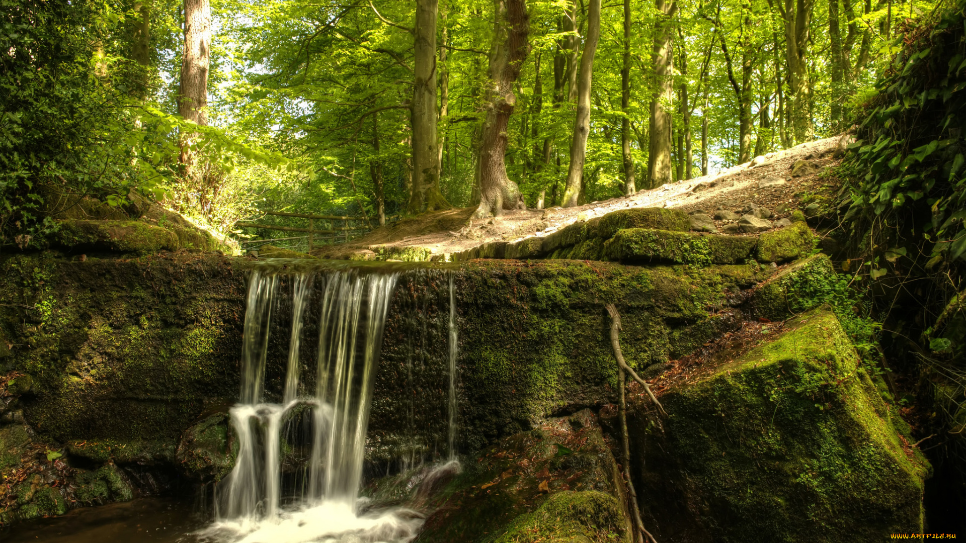 природа, водопады, водопад, река, лес