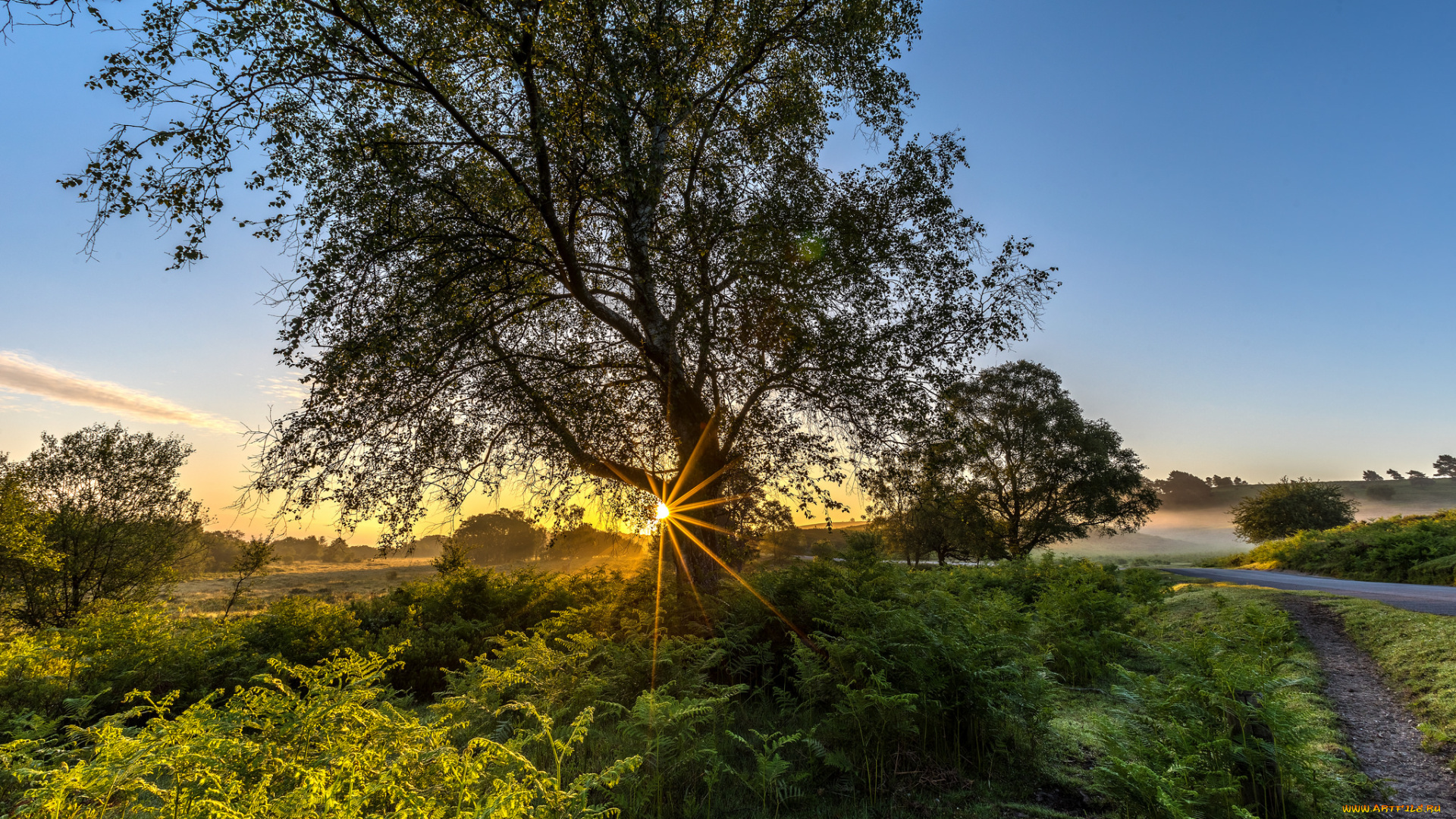 природа, восходы, закаты, рассвет