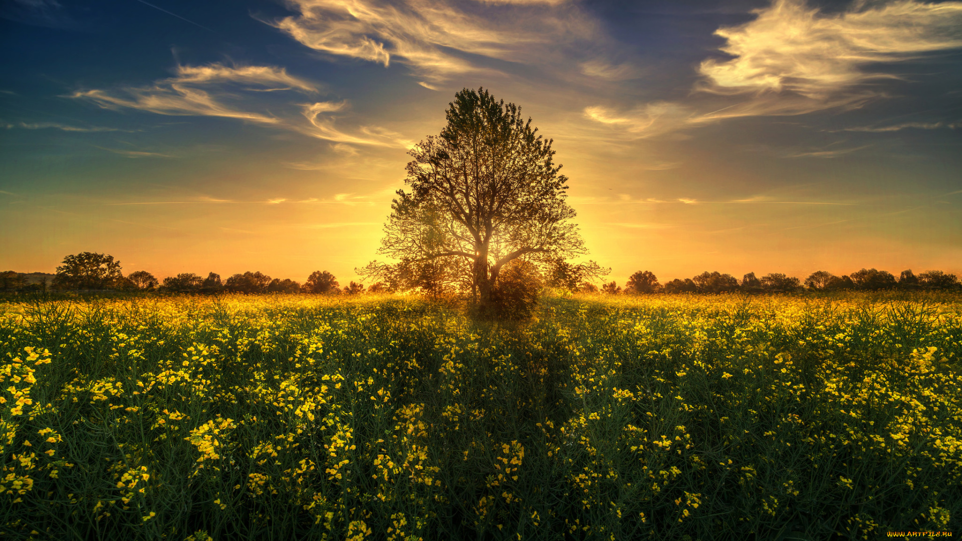 природа, восходы, закаты, рассвет