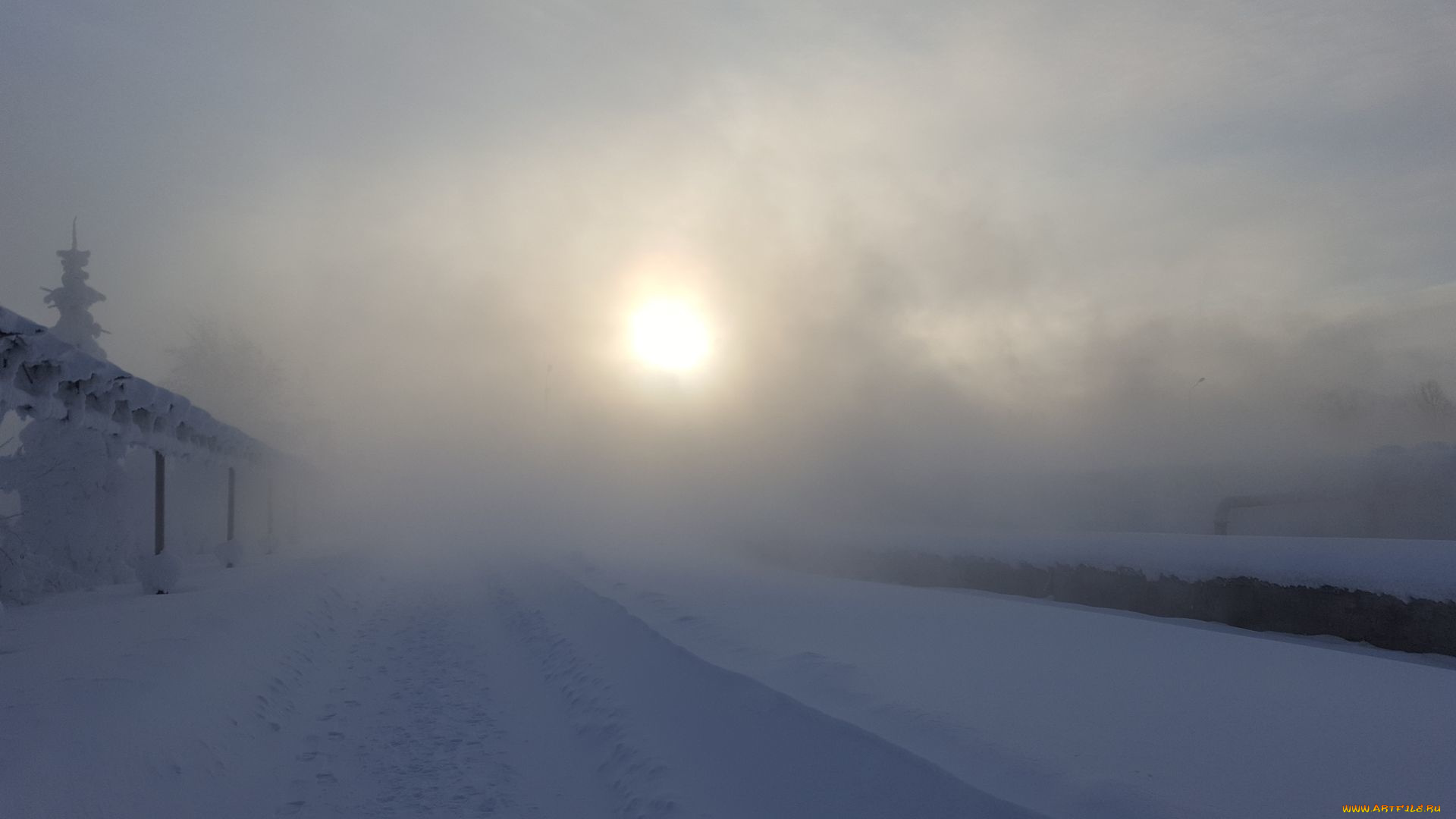 природа, зима, иней, снег