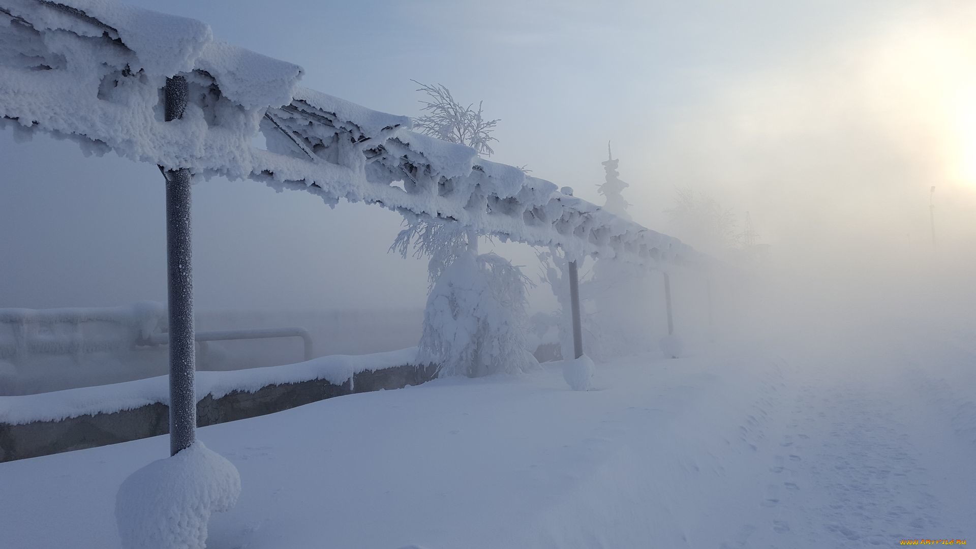 природа, зима, иней, снег