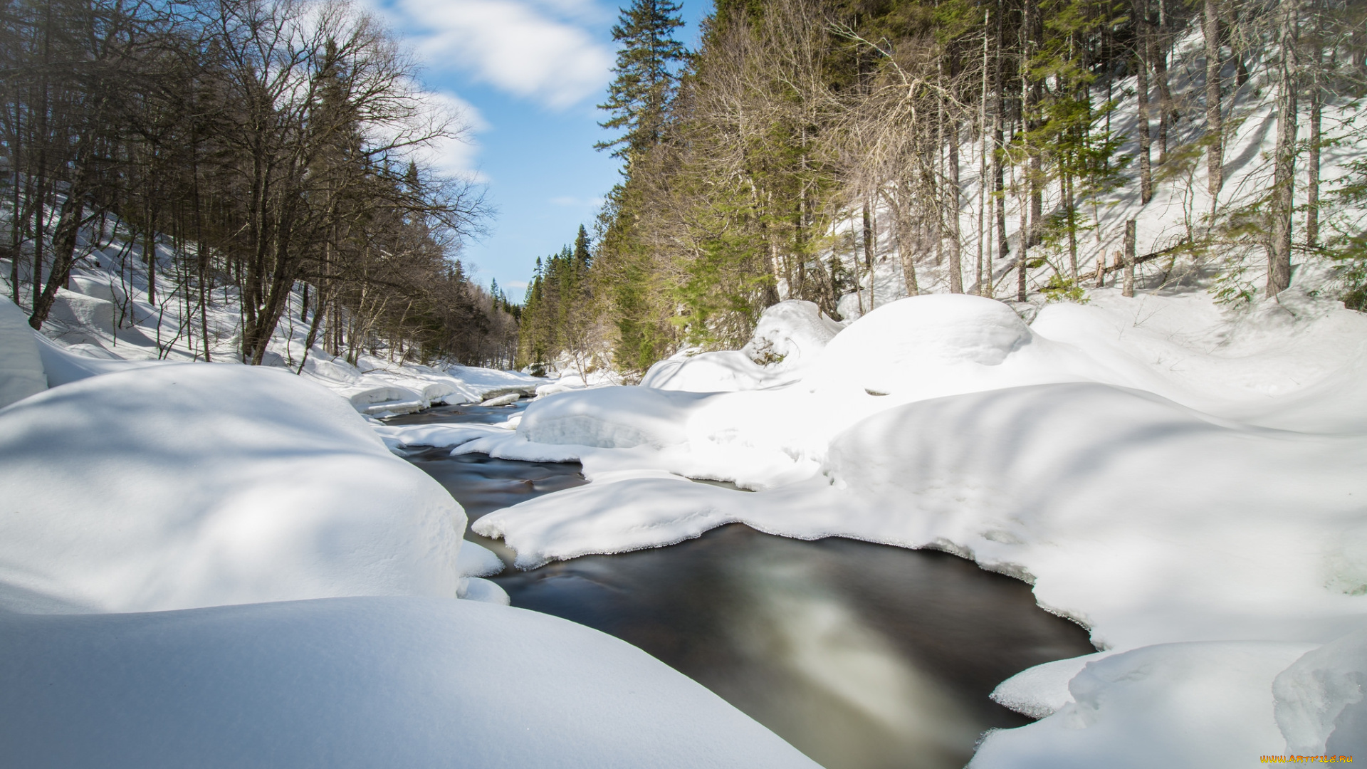 природа, зима, снег