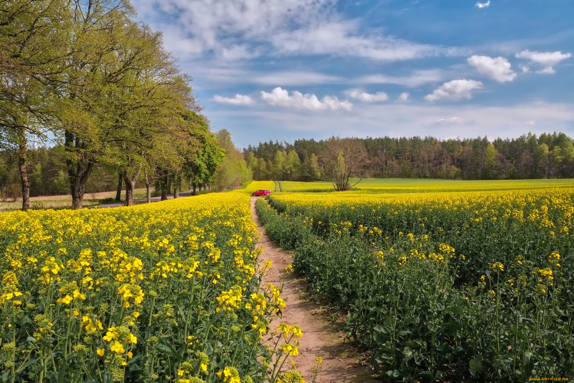 природа, дороги, тракт