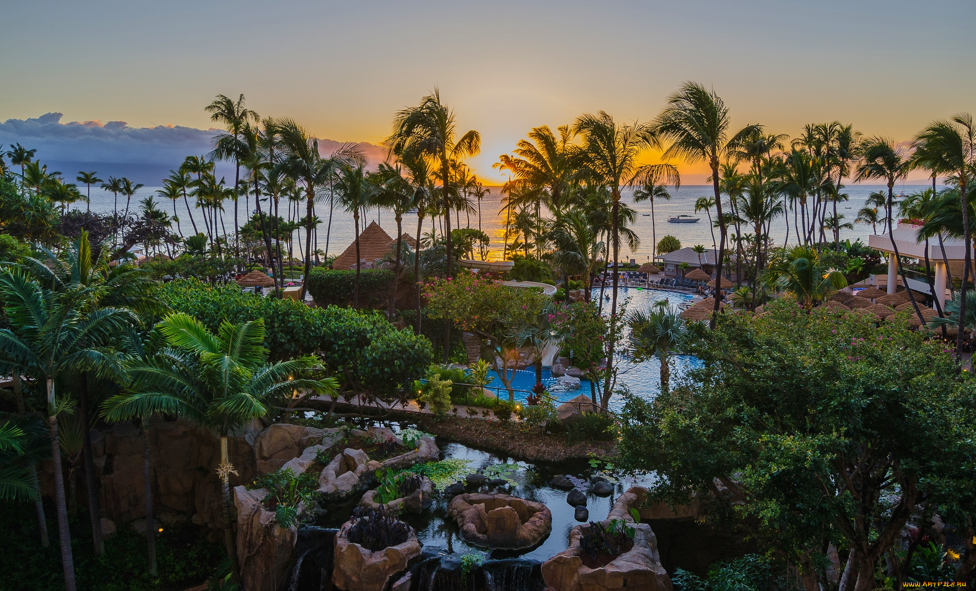 природа, тропики, курорт