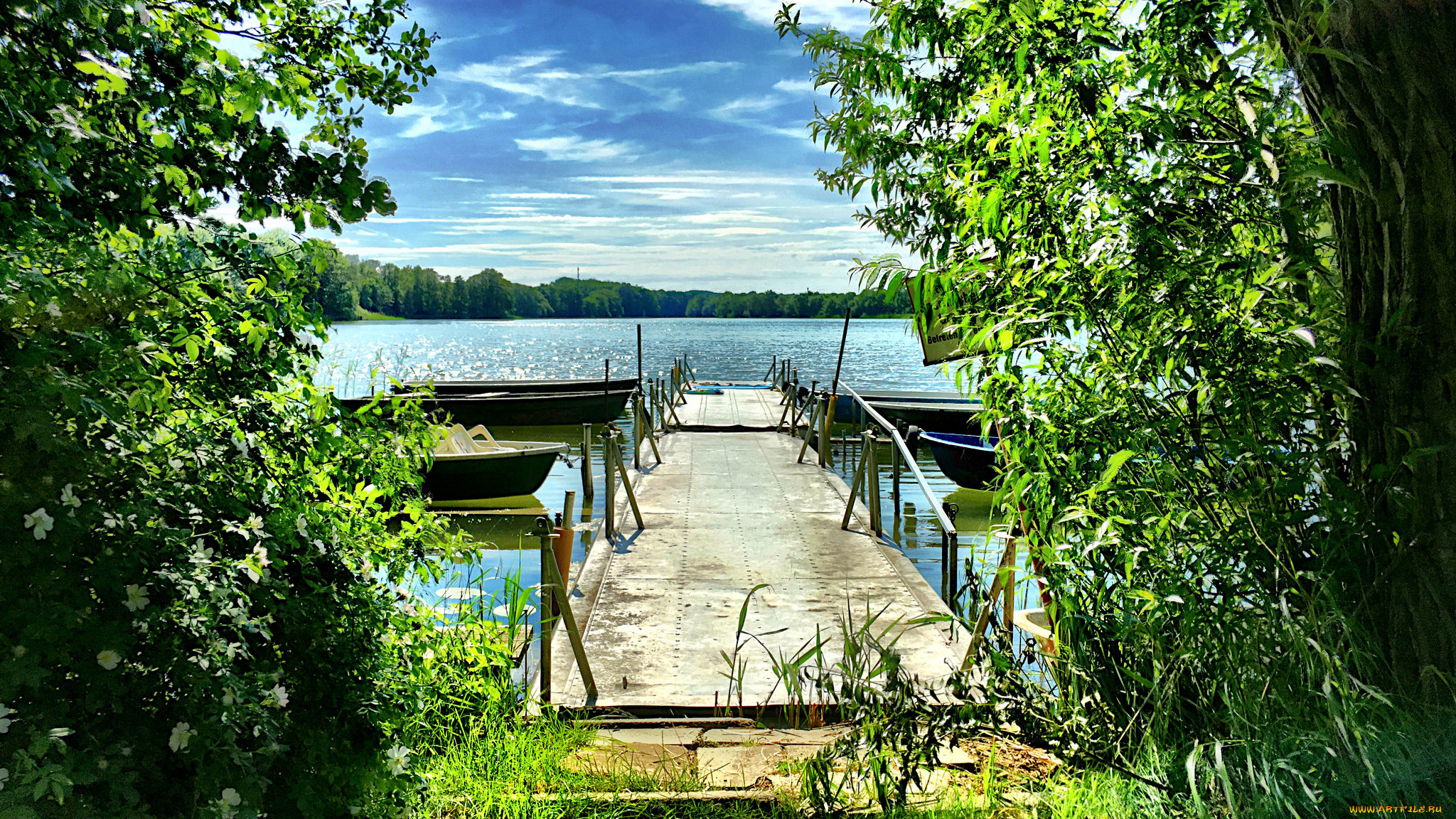 природа, реки, озера, река, лес