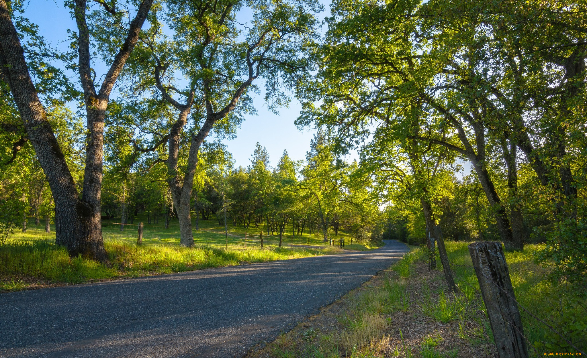 природа, дороги, тракт